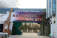 museum