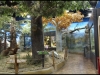 beijing_04