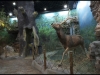 beijing_10